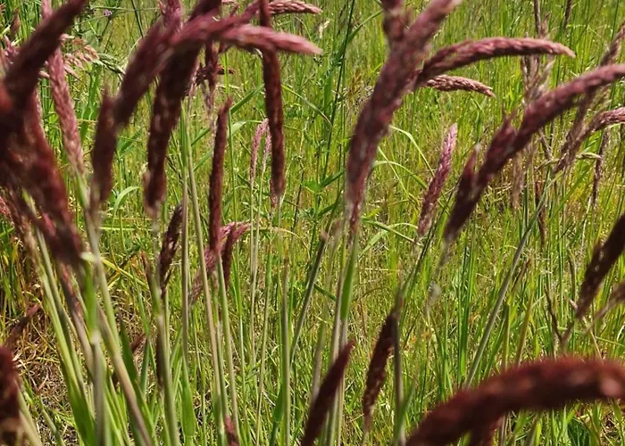 Huk's 5 - Aurora Vista - Abc580