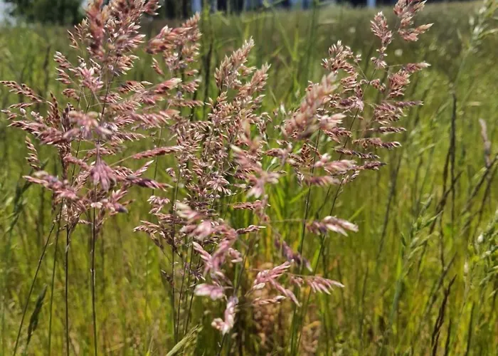 Apartment Huk's 5 - Aurora Vista - Abc580 *